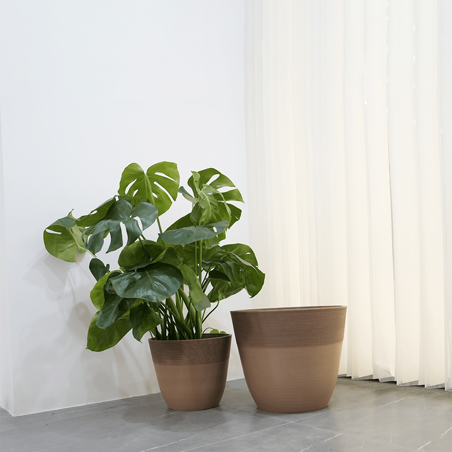Zyrie Plastic Planter Zyrie Plastic Planter 33 cm Mandaue Foam