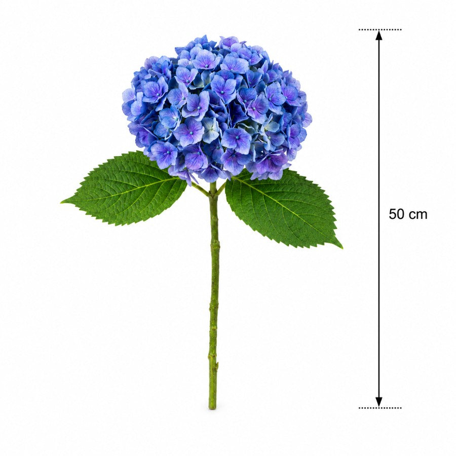 #Color_Blue