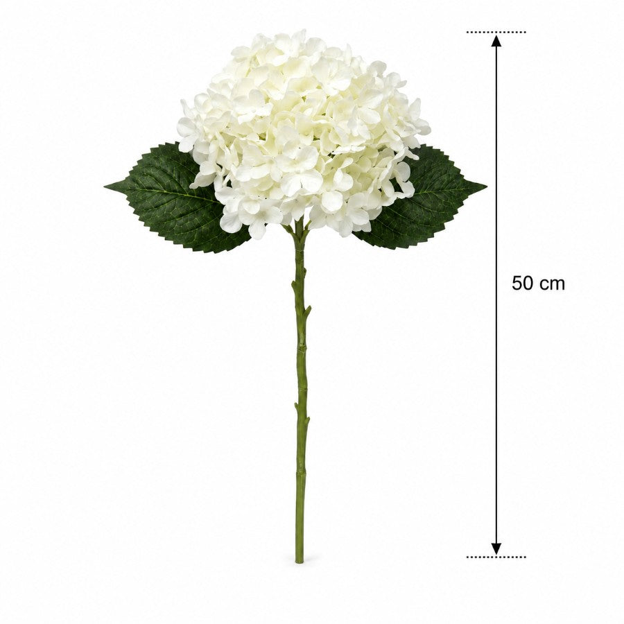 #Color_White
