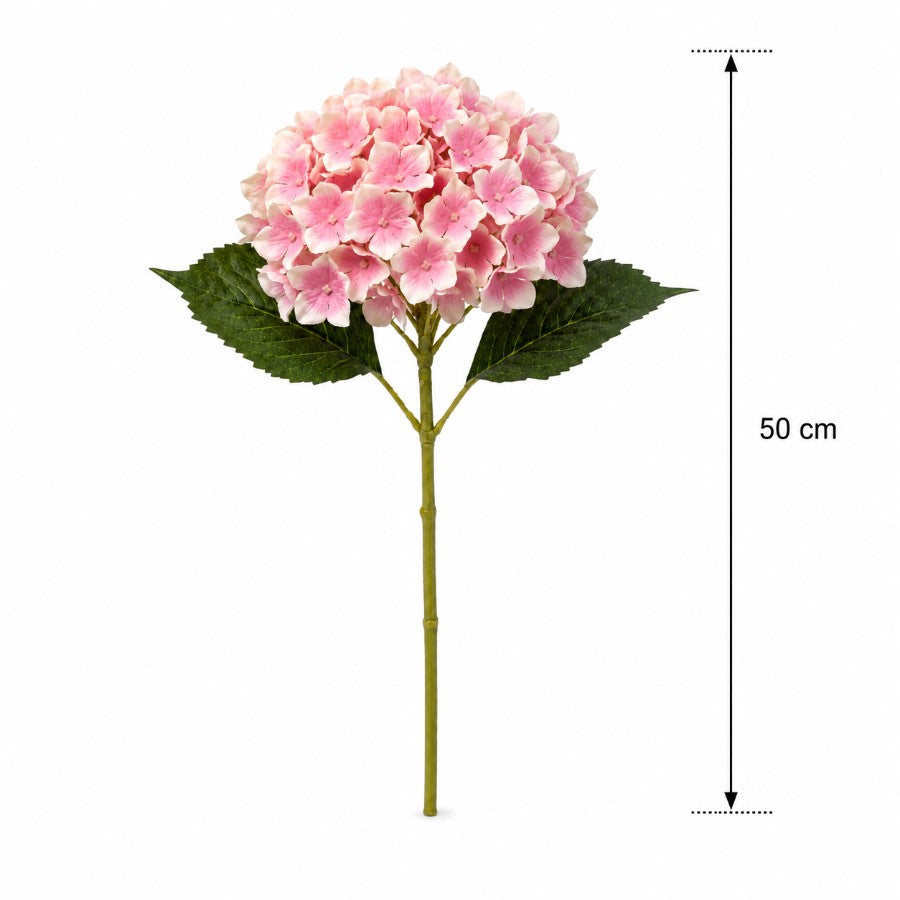 #Color_Pink