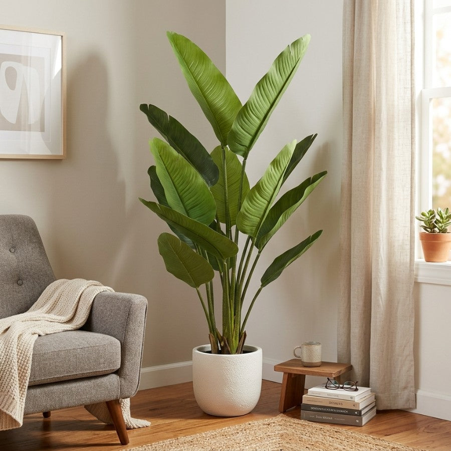 Bird of Paradise 160cm