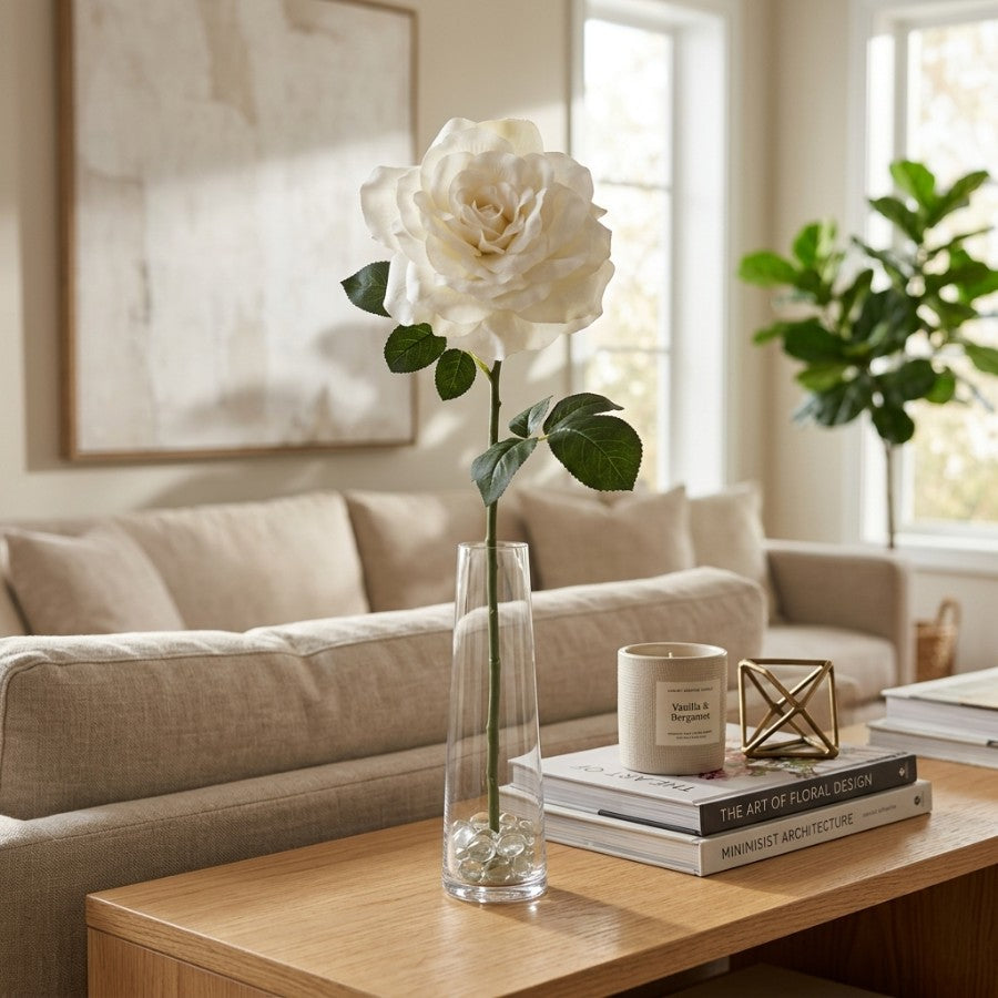 Grandiflora Rose White