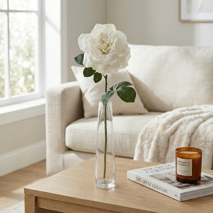 Grandiflora Rose White