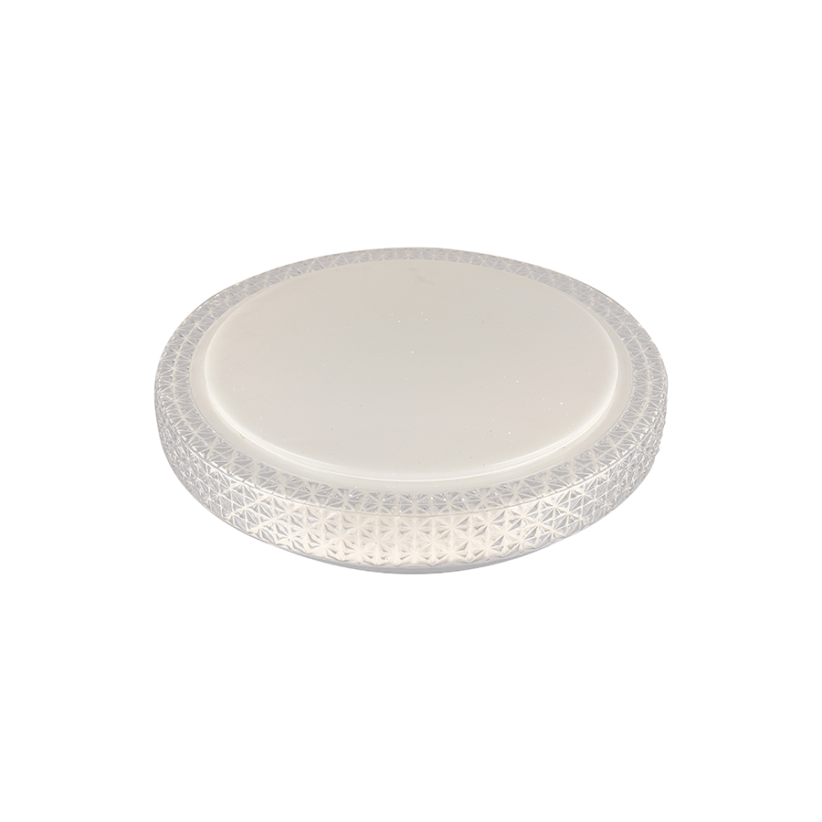 Palne Round Flush Mount Light