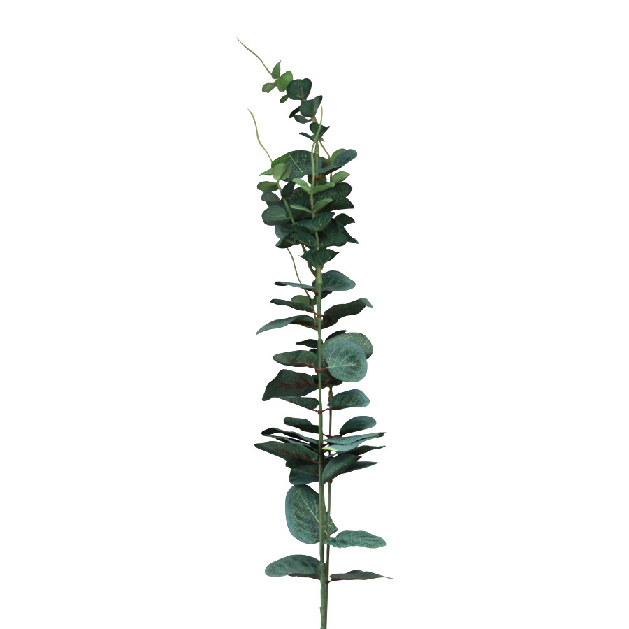 Spiral Eucalyptus Single Leaf