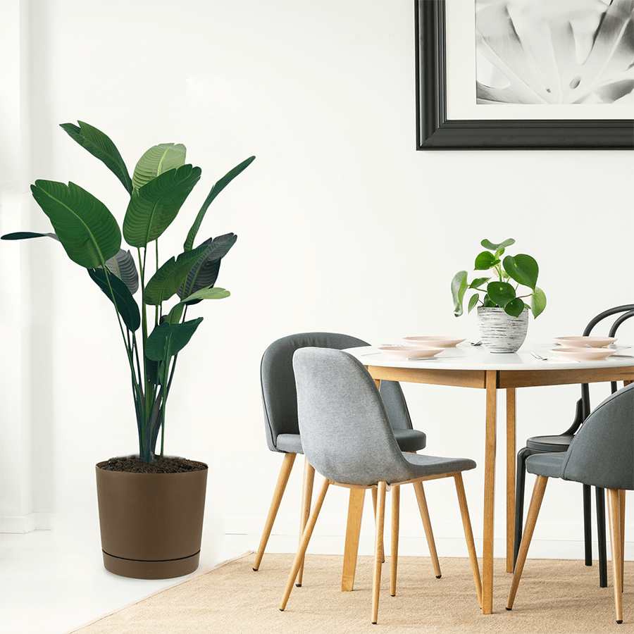 Brown Round Mini Planters Brown Round Mini Planters Large Mandaue Foam