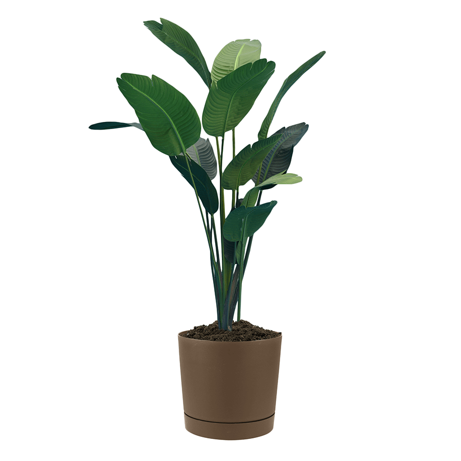 Brown Round Mini Planters Brown Round Mini Planters Large Mandaue Foam