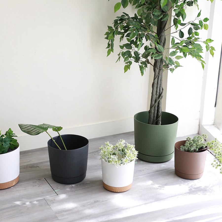 Brown Round Mini Planters Brown Round Mini Planters Large Mandaue Foam