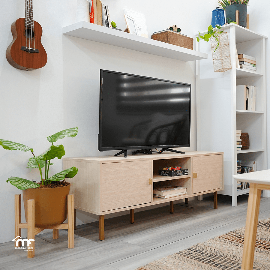 MORE GEORGINE OPTIONS Georgine 120 cm TV Rack Georgine 120 cm TV Rack Mandaue Foam