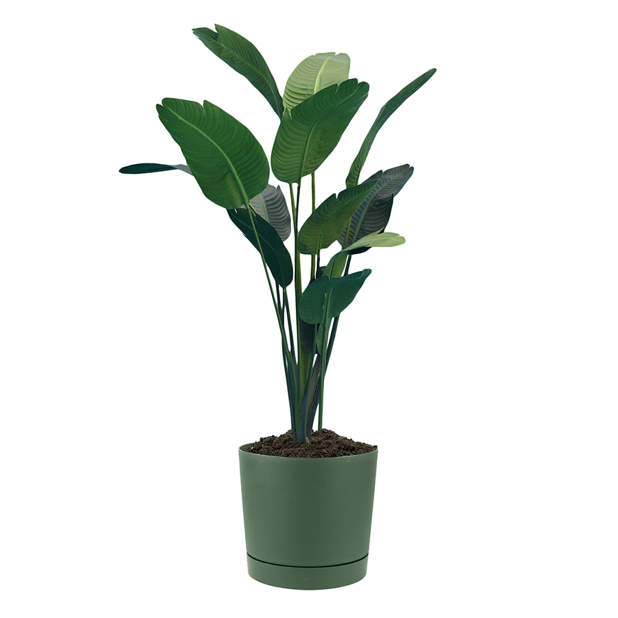 Lechuza Plastic Planter
