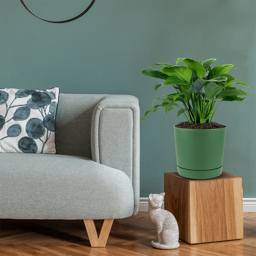Lechuza Plastic Planter