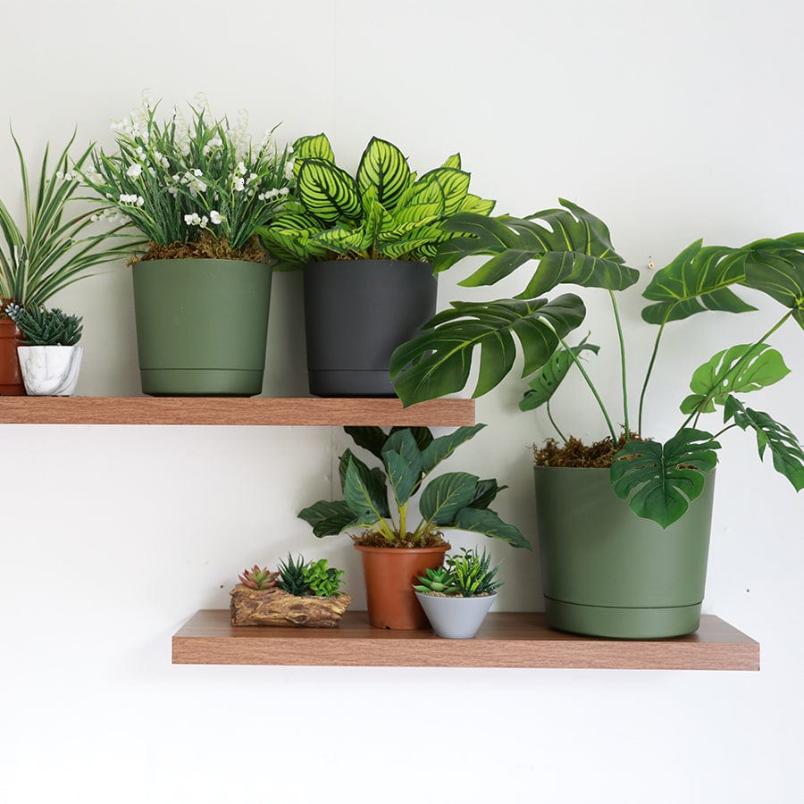 Lechuza Plastic Planter