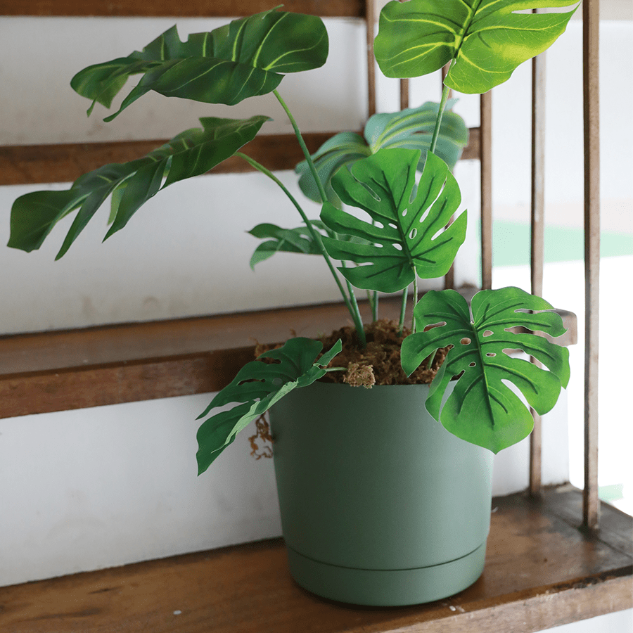 Lechuza Plastic Planter