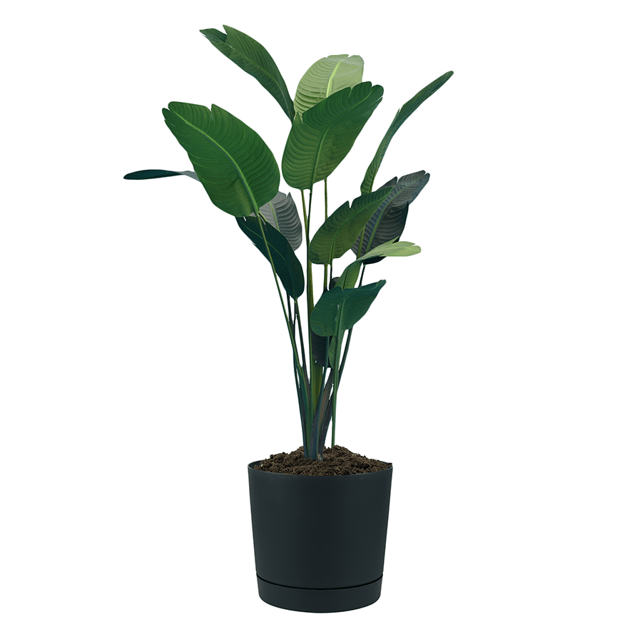 Palermo Plastic Planter Palermo Plastic Planter Mandaue Foam