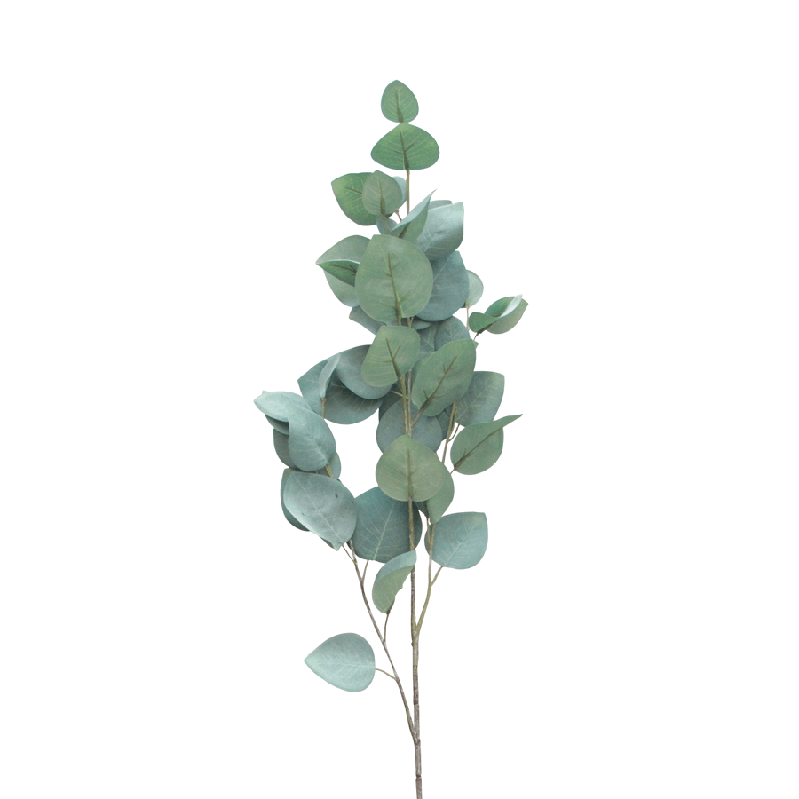 Silver Dollar Eucalyptus Single Leaf Silver Dollar Eucalyptus Single Leaf Mandaue Foam