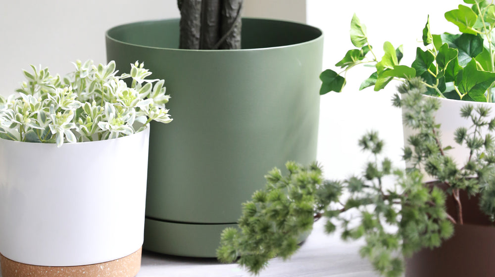 Big Planter