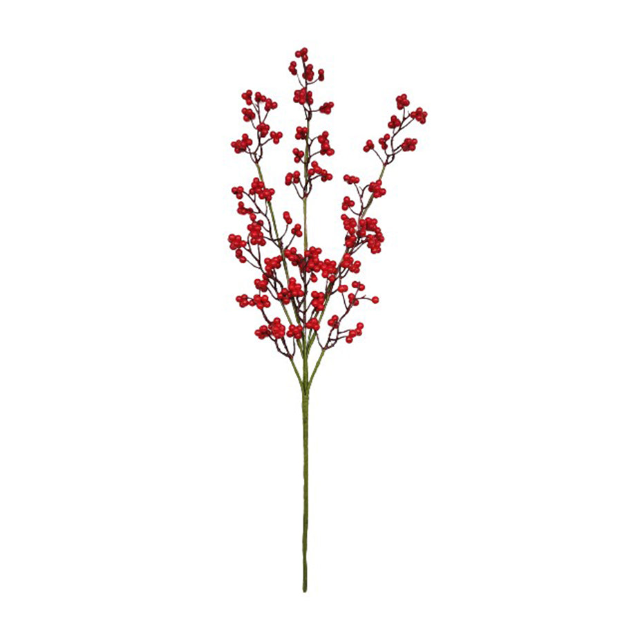 #color_Red