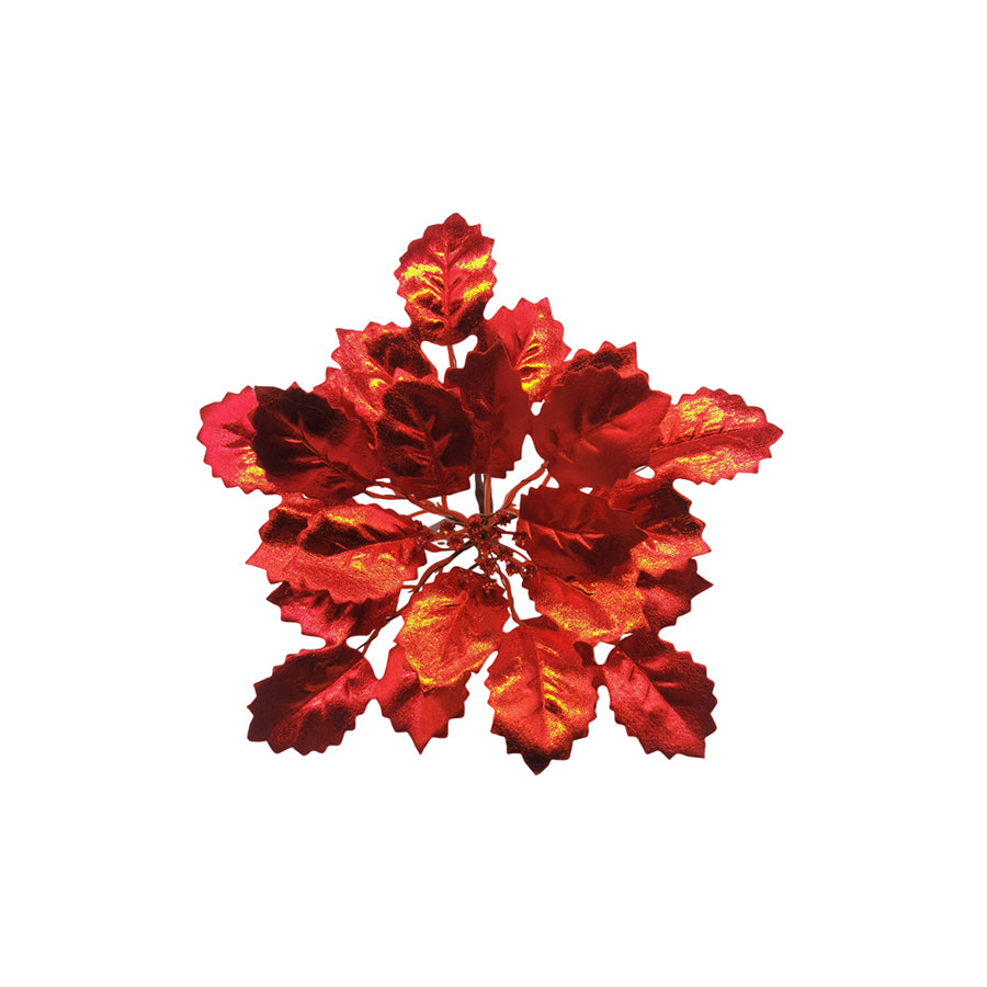 #color_Red