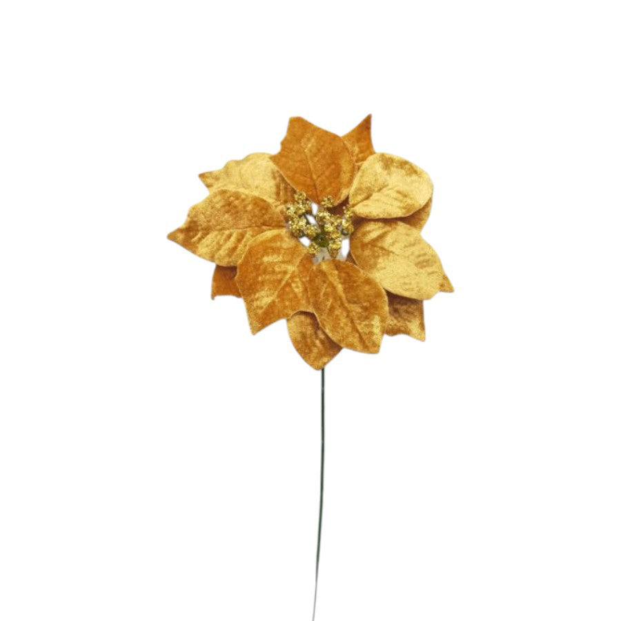 #color_Gold