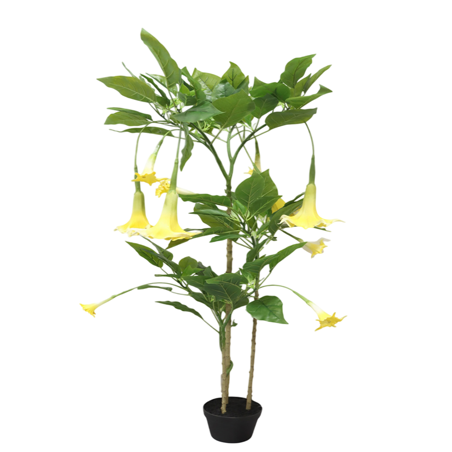 Angel Trumpet Potted Plant 160 cm