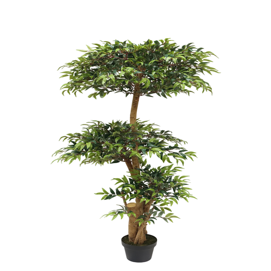 Eucalyptus Topiare Potted Plant 150 cm