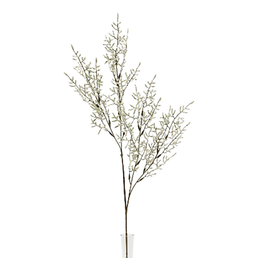 Misty Blue Limonium