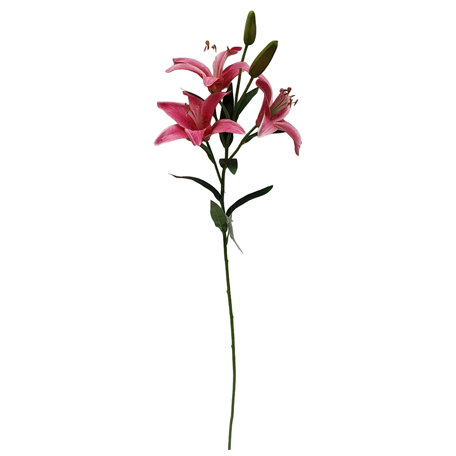 Lilium Pink Single Flower