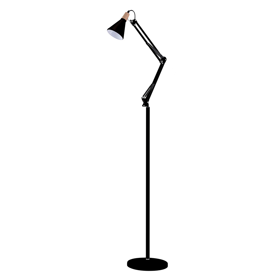 Tage Swing-arm Floor Lamp