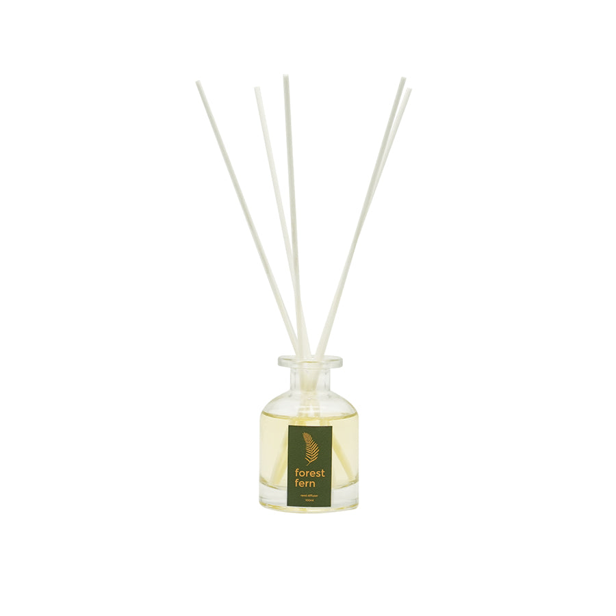 Reed Diffuser 100ml - Forest Fern