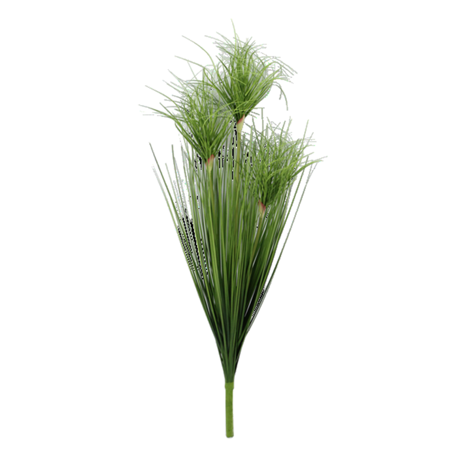 Murdania Grass