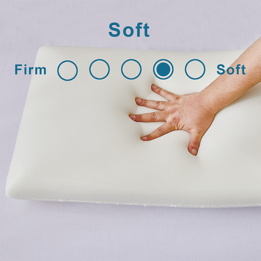 Contour Memory Foam Pillow