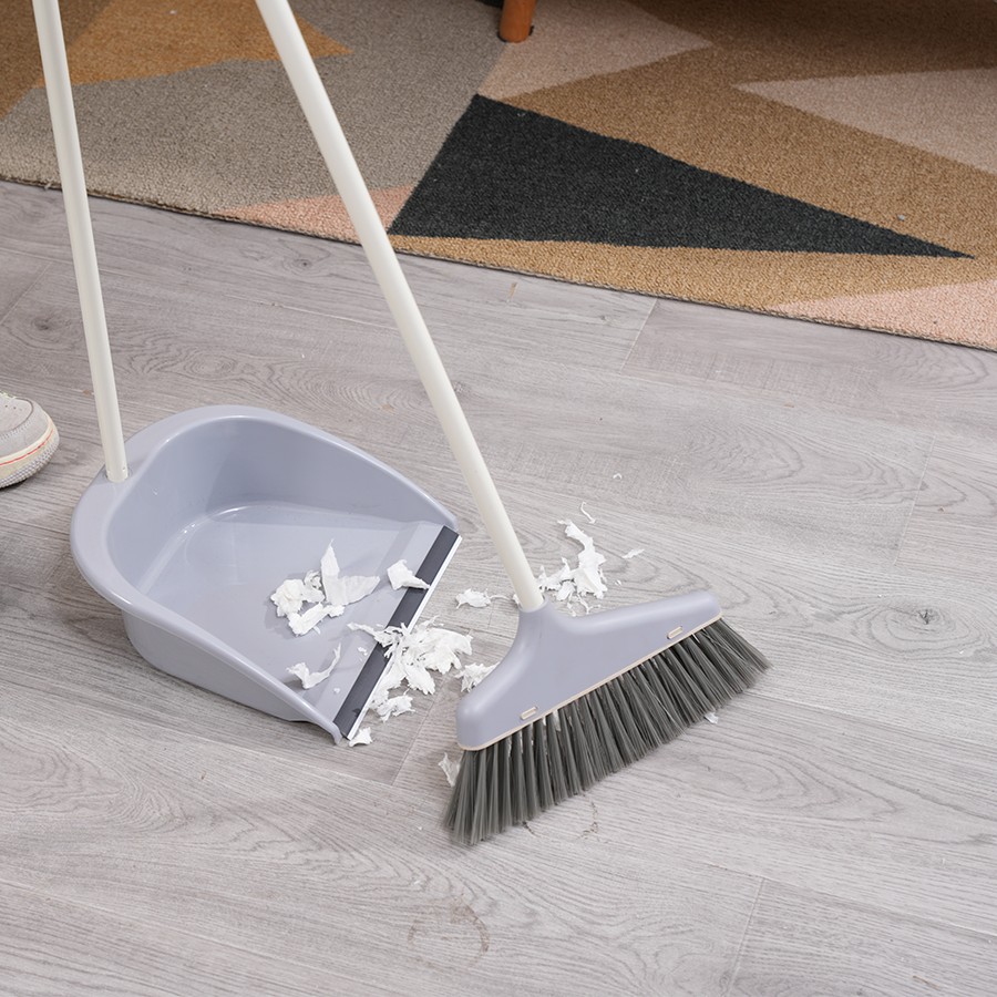 Vale Dustpan with Long Broom