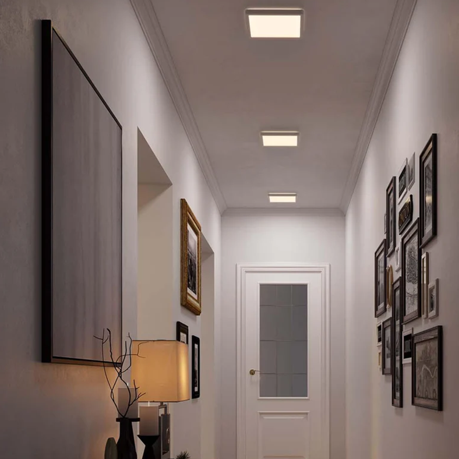 LED Surface Square Mount Daylight