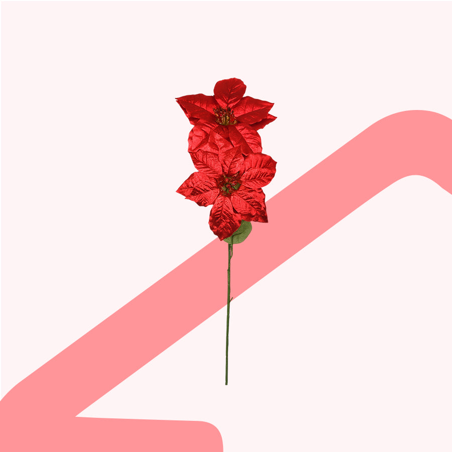 #color_Red