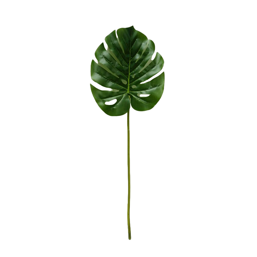 Monstera Single Leaf