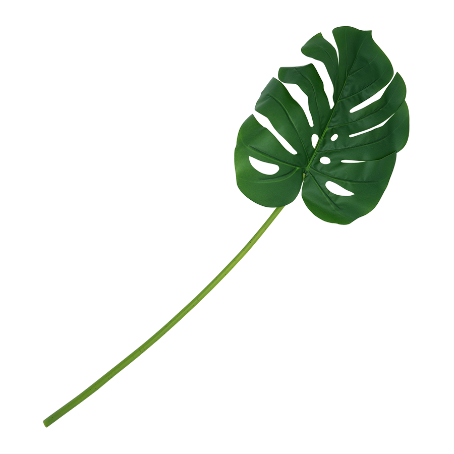 Monstera Single Leaf