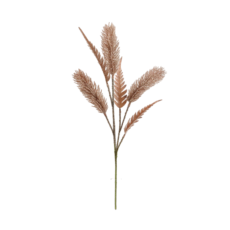 Foxtail Grass