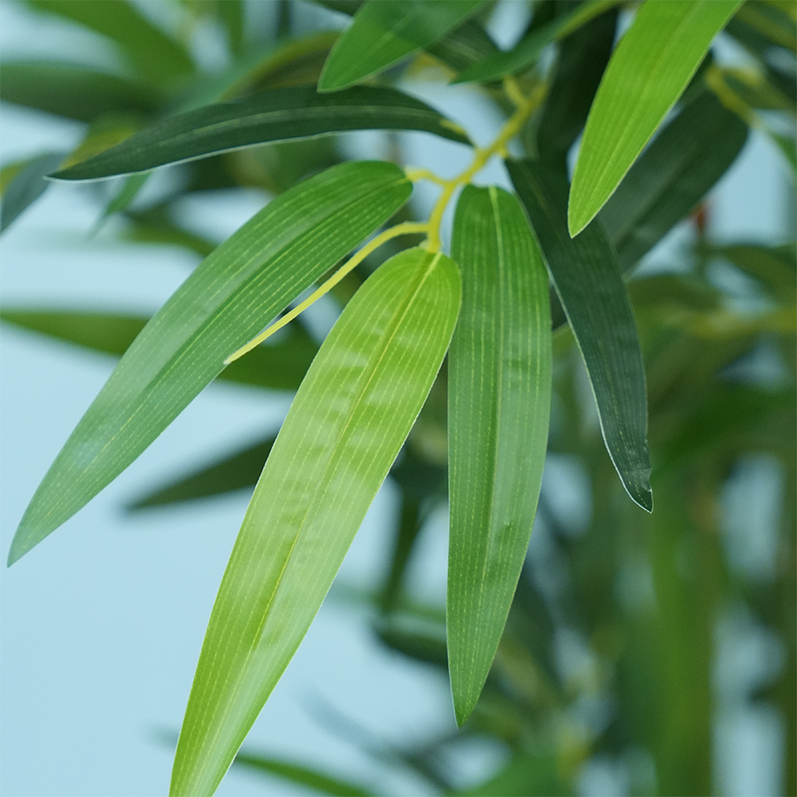 Bamboo Real Touch