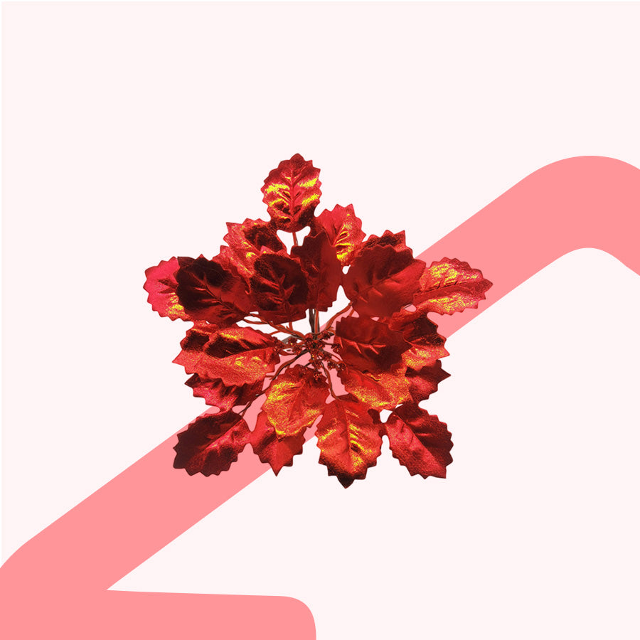 #color_Red