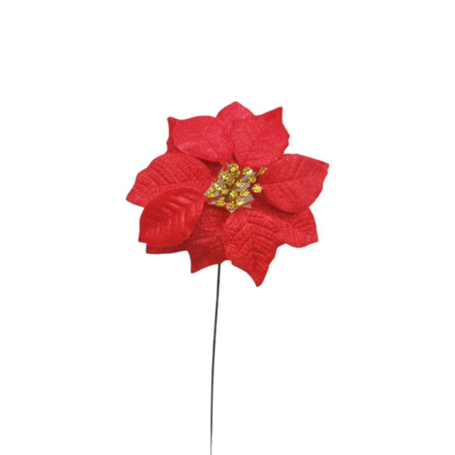 #color_Red