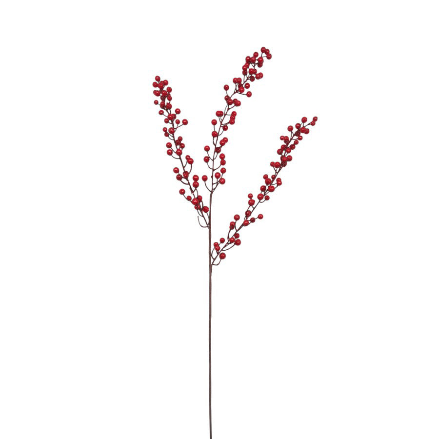 Goumi Berry 86cm