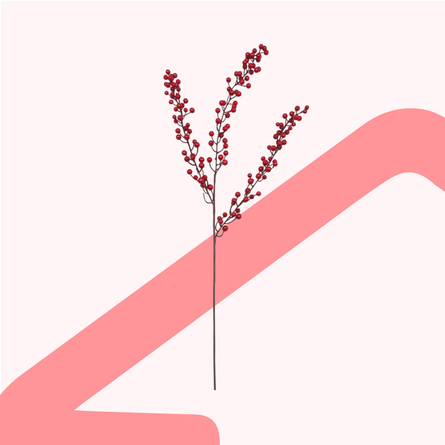 Goumi Berry 86cm