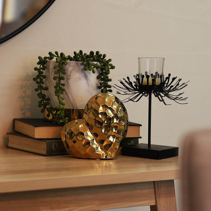 String of Pearl Potted Plant 23 cm