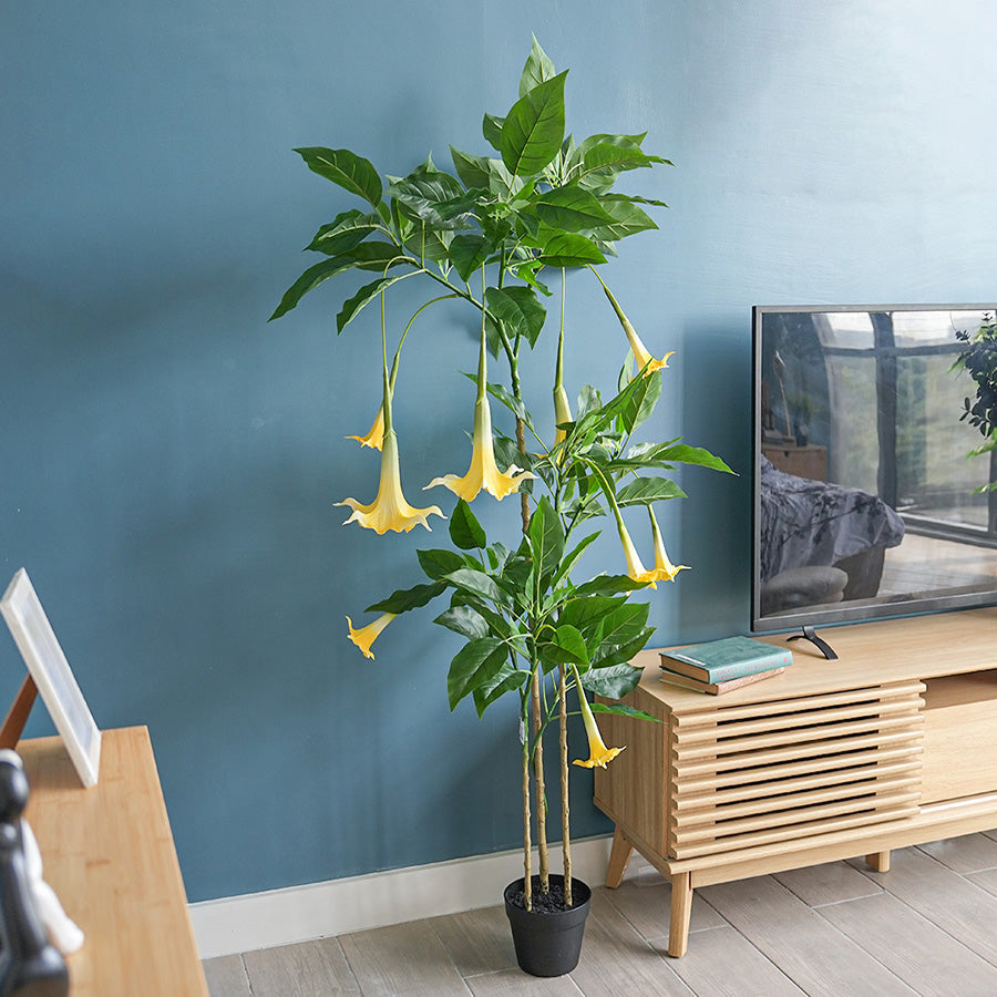 Angel Trumpet Potted Plant 160 cm