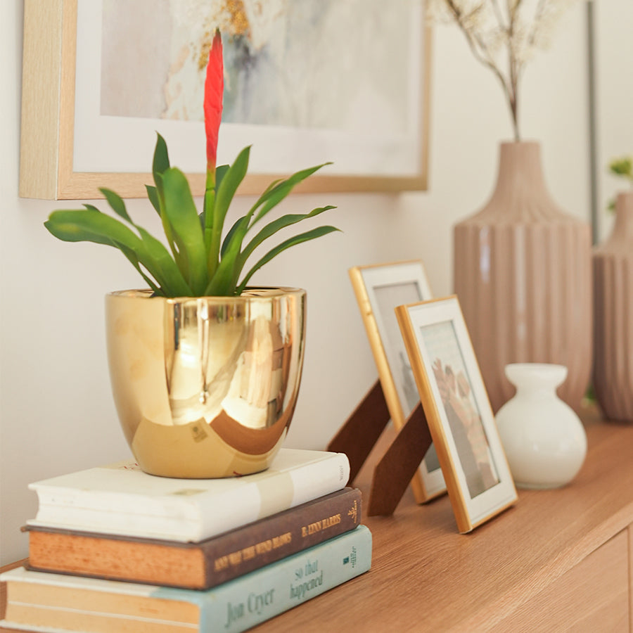 Hasami Ceramic Pot