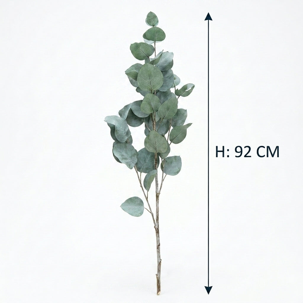 Silver Dollar Eucalyptus Single Leaf