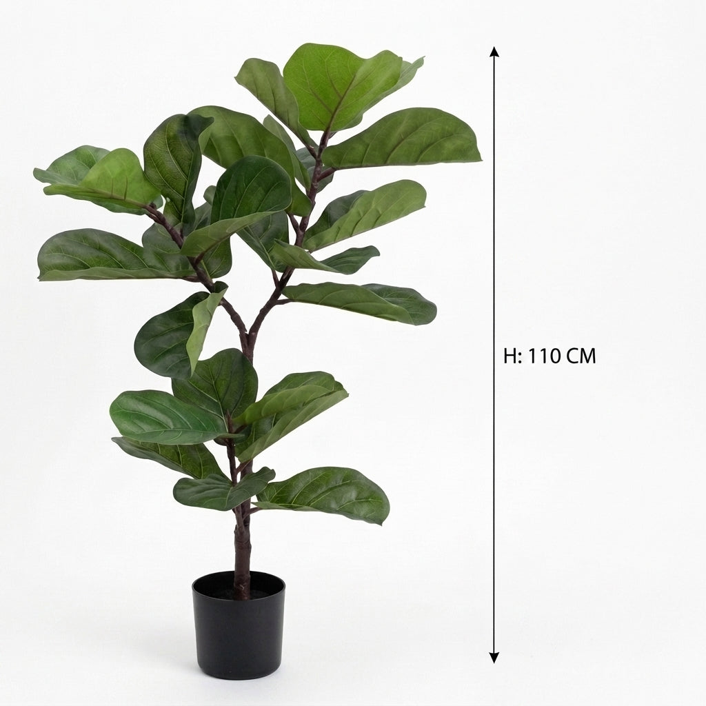 Fiddle Leaf Potted Plant