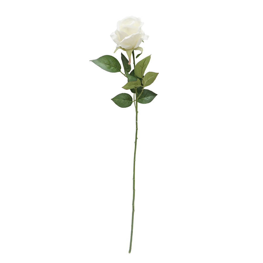 Rose Bloom White Single Flower