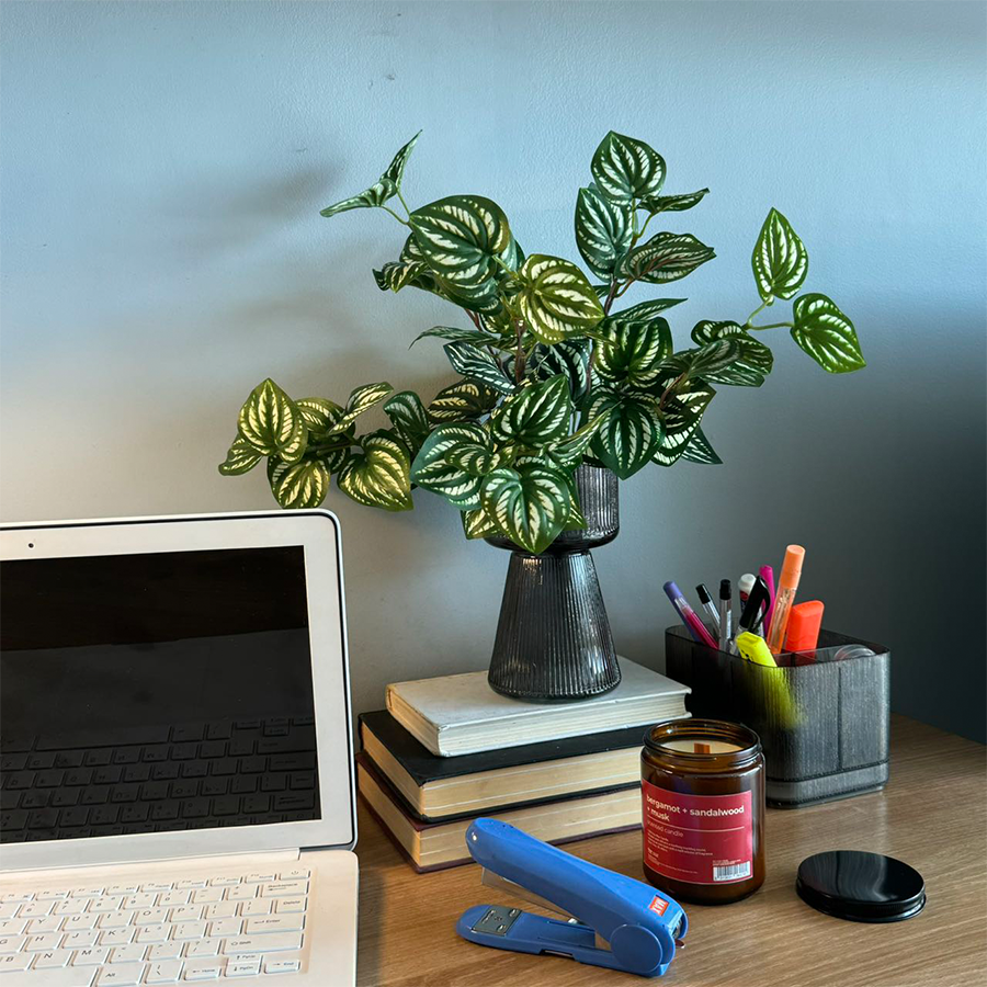 Peperomia Bunch Leaf