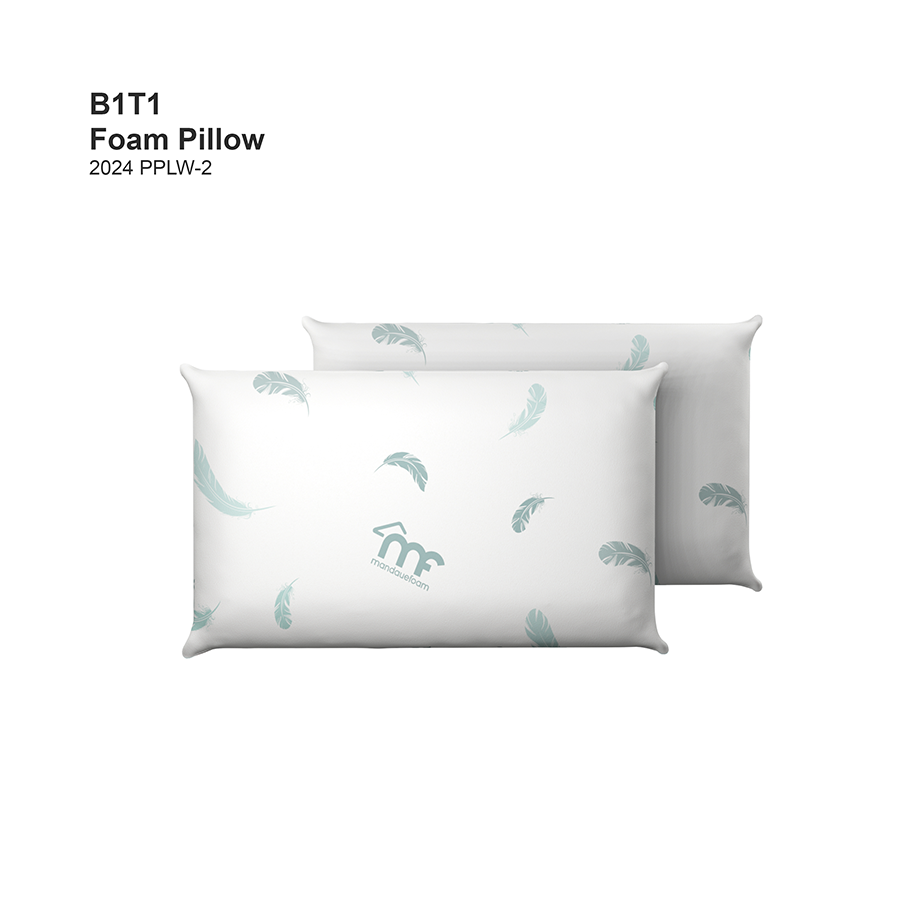 B1T1 Foam Pillow